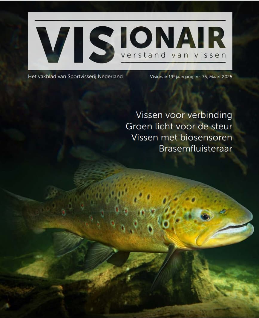 VISionair no. 75 is uit!