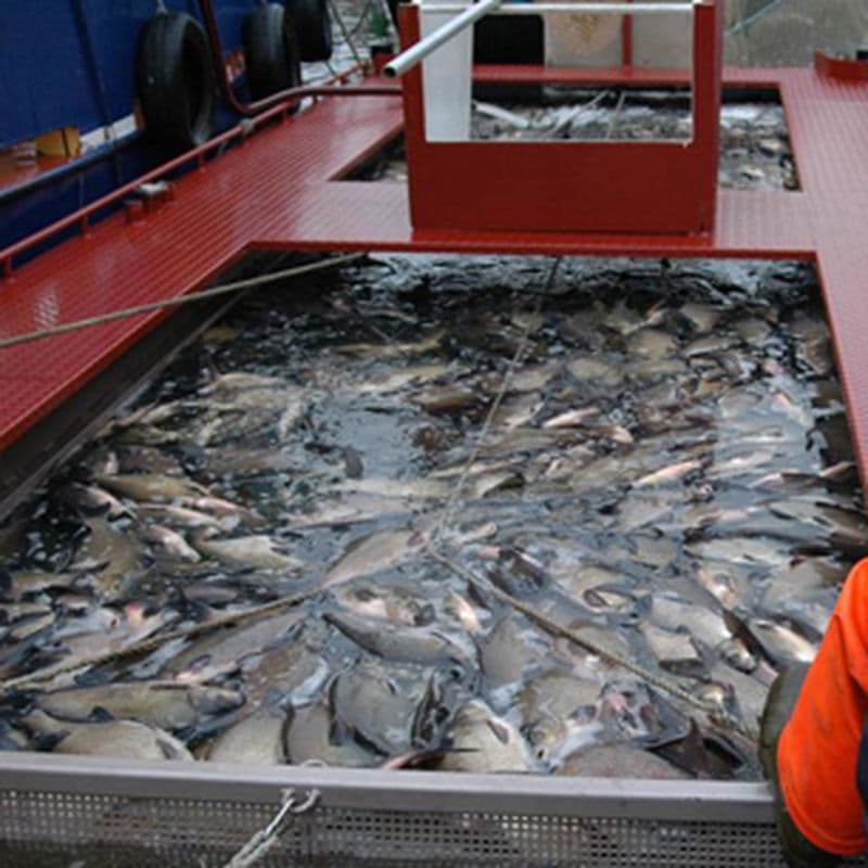 Actief biologisch beheer (ABB)