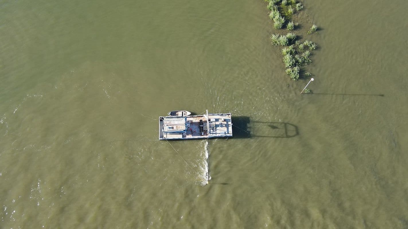 Wereld Vismigratiedag 25 mei